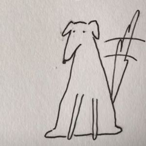 Meet your Posher, Ray